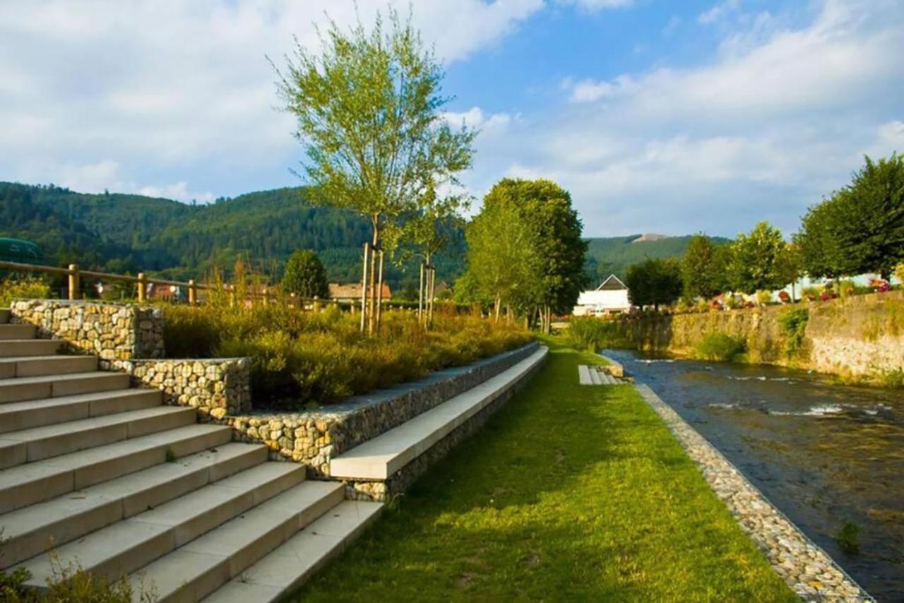 Maison Rurale En Bordure De Foret Schirmeck Bagian luar foto