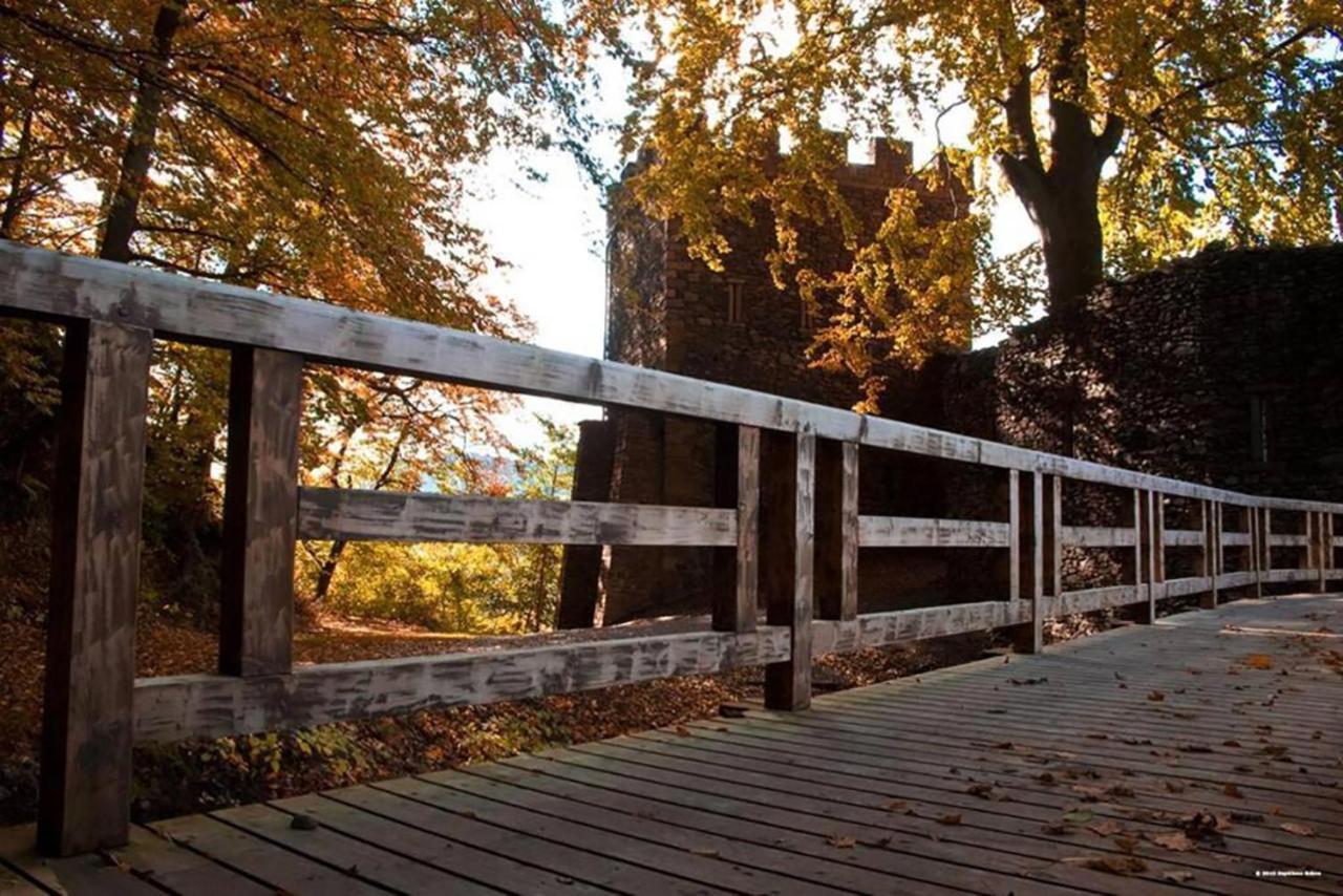 Maison Rurale En Bordure De Foret Schirmeck Bagian luar foto